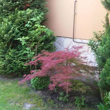 Vakantiehuis - Balaton 19117 *