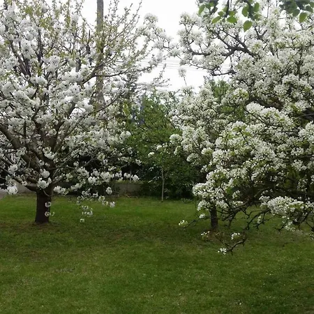 - Balaton 19117 * Balatonlelle