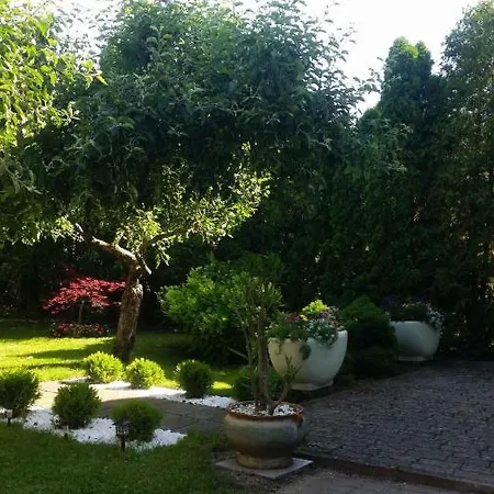 Vakantiehuis - Balaton 19117