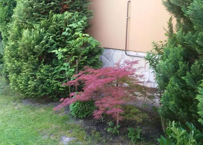 בית נופש - Balaton 19117 *