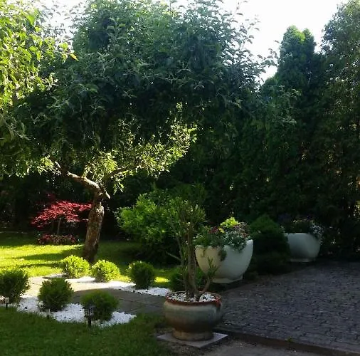 בית נופש - Balaton 19117